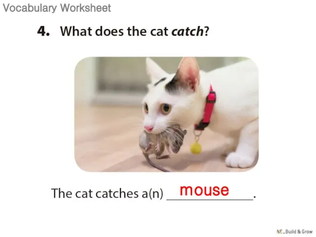 mouse Vocabulary Worksheet