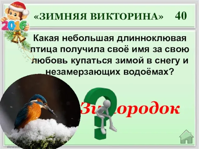 Зимородок 40 Какая небольшая длинноклювая птица получила своё имя за свою любовь