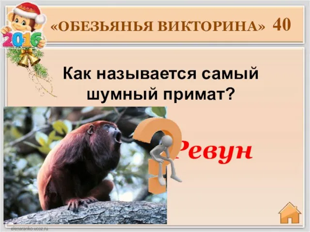 Ревун 40 Как называется самый шумный примат? «ОБЕЗЬЯНЬЯ ВИКТОРИНА»