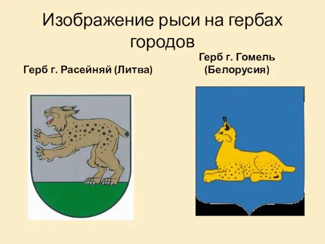 Изображение рыси на гербах городов Герб г. Расейняй (Литва) Герб г. Гомель (Белорусия)