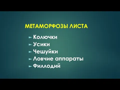 МЕТАМОРФОЗЫ ЛИСТА Колючки Усики Чешуйки Ловчие аппараты Филлодий