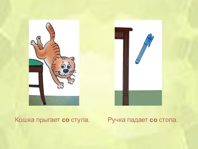 Кошка прыгает со стула. Ручка падает со стола.