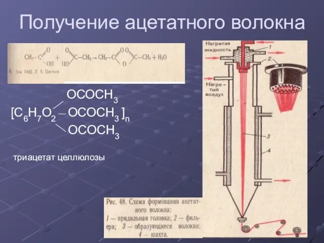 Получение ацетатного волокна ОСОСН3 [С6Н7О2 ОСОСН3 ]n ОСОСН3 триацетат целлюлозы