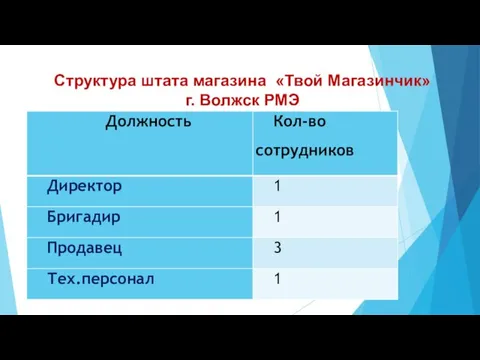 Структура штата магазина «Твой Магазинчик» г. Волжск РМЭ