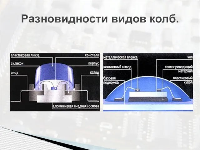 Разновидности видов колб.