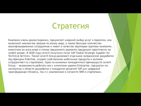 Стратегия Компания очень разносторонняя, предлагает широкий выбор услуг и проектов, она выполняет