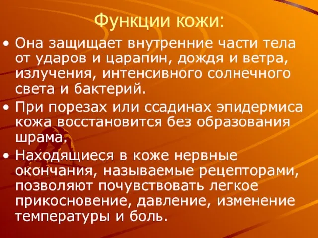 Функции кожи: Она защищает внутренние части тела от ударов и царапин, дождя