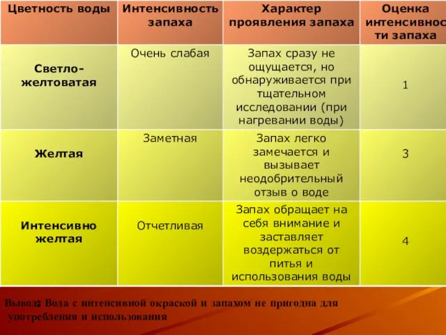 Вывод: Вода с интенсивной окраской и запахом не пригодна для употребления и использования