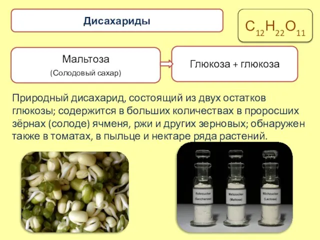 Мальтоза (Солодовый сахар) Глюкоза + глюкоза Дисахариды С12Н22О11 Природный дисахарид, состоящий из