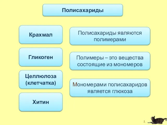 Крахмал Целлюлоза (клетчатка) Гликоген Хитин Полисахариды Полисахариды являются полимерами Полимеры – это