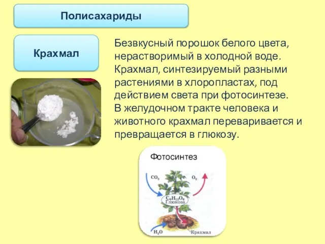 Крахмал Полисахариды Безвкусный порошок белого цвета, нерастворимый в холодной воде. Крахмал, синтезируемый