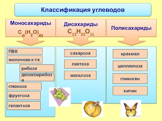 Моносахариды Сn(Н2О)m Дисахариды С12Н22О11 Полисахариды Классификация углеводов рибоза глюкоза дезоксирибоза фруктоза молочная