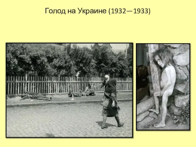 Голод на Украине (1932—1933)