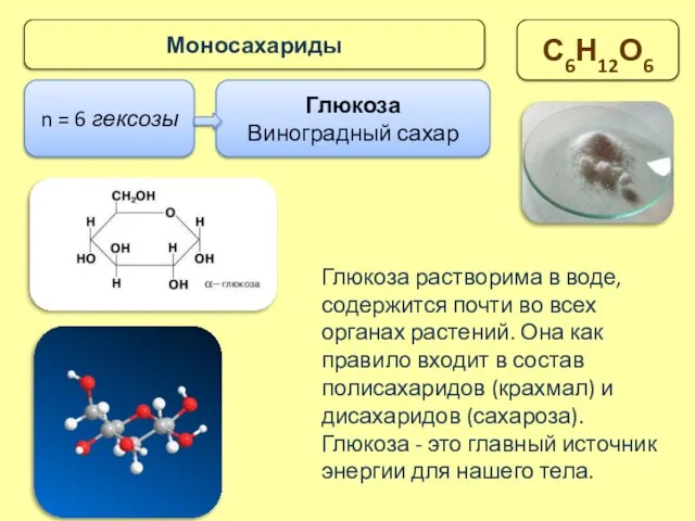 n = 6 гексозы Глюкоза Виноградный сахар Моносахариды С6Н12О6 Глюкоза растворима в