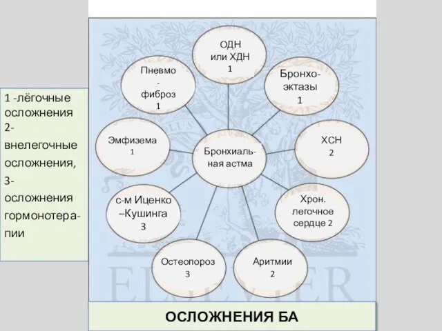 1 -лёгочные осложнения 2-внелегочные осложнения, 3- осложнения гормонотера-пии ОСЛОЖНЕНИЯ БА Бронхо-эктазы 1