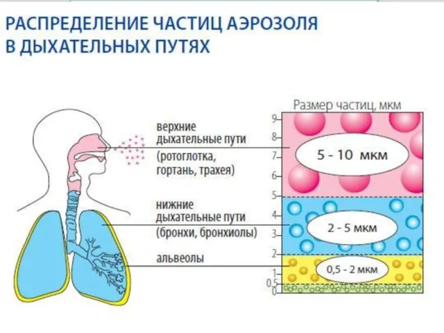 Небулайзерная терапия