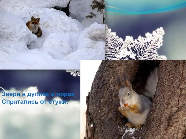 Звери в дуплах и норах Спрятались от стужи.