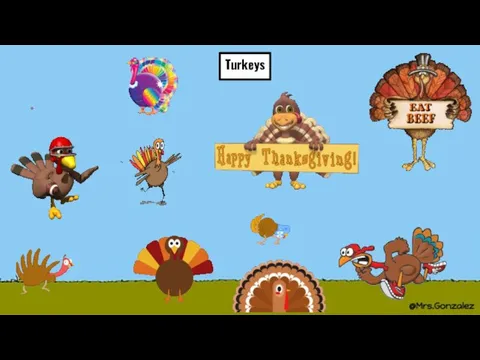 Turkeys