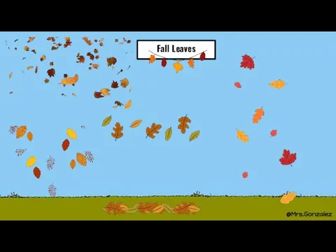 Fall Leaves