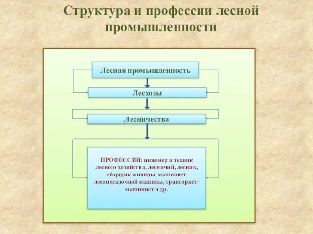 Структура и профессии лесной промышленности Лесная промышленность Лесхозы Лесничества ПРОФЕССИИ: инженер и