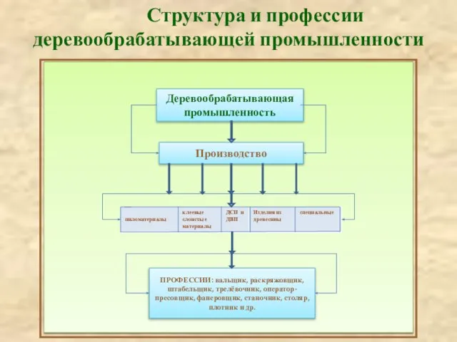 Структура и профессии деревообрабатывающей промышленности Деревообрабатывающая промышленность Производство ПРОФЕССИИ: вальщик, раскряжовщик, штабельщик,