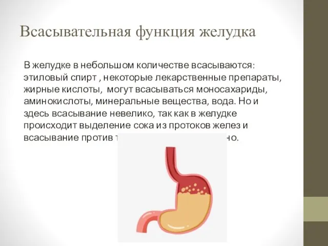 Всасывательная функция желудка В желудке в небольшом количестве всасываются: этиловый спирт ,