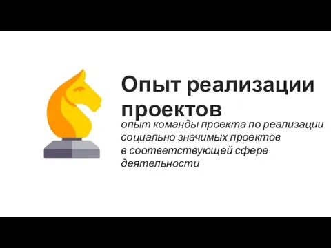 Опыт реализации проектов опыт команды проекта по реализации социально значимых проектов в соответствующей сфере деятельности