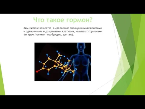 Что такое гормон? Химические вещества, вы­деляемые эндокринными железами и одиночными эндокринными клетка­ми,