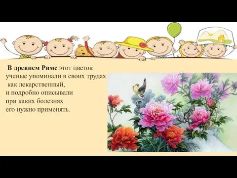 В древнем Риме этот цветок ученые упоминали в своих трудах как лекарственный,