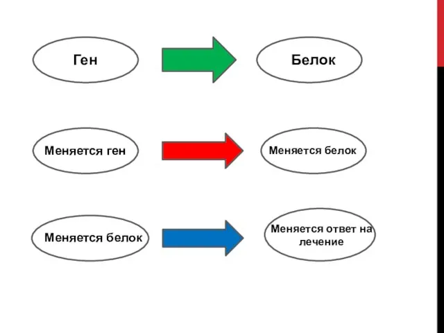 Ген Белок Меняется ген Меняется белок Меняется белок Меняется ответ на лечение