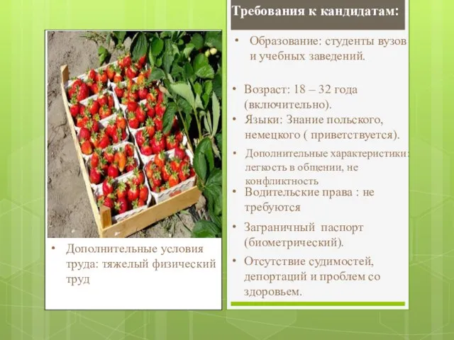 Требования к кандидатам: Образование: студенты вузов и учебных заведений. Возраст: 18 –