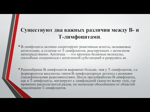 Существуют два важных различия между В- и Т-лимфоцитами. В-лимфоциты активно секретируют реактивные