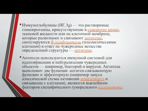 Иммуноглобулины (ИГ, Ig) — это растворимые гликопротеины, присутствующие в сыворотке крови, тканевой