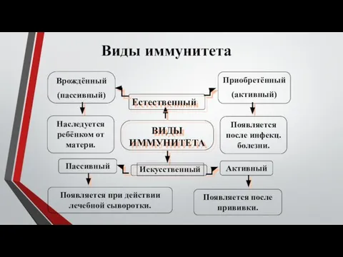 ВИДЫ ИММУНИТЕТА Естественный Искусственный Врождённый (пассивный) Приобретённый (активный) Пассивный Активный Наследуется ребёнком