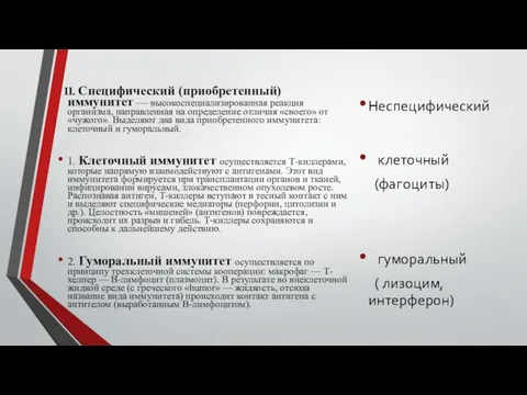 II. Специфический (приобретенный) иммунитет — высокоспециализированная реакция организма, направленная на определение отличия