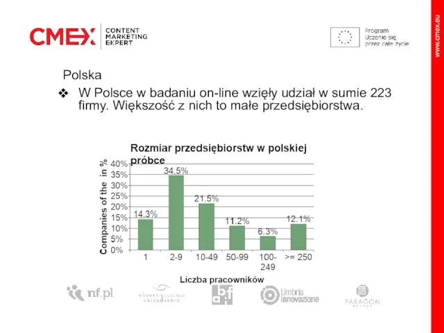 Polska W Polsce w badaniu on-line wzięły udział w sumie 223 firmy.