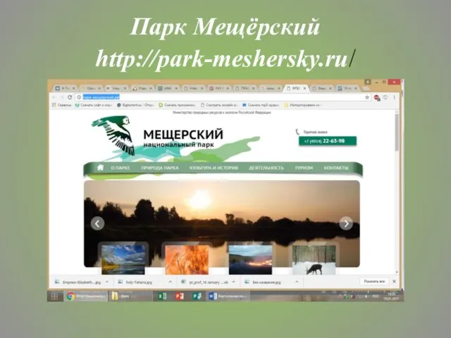 Парк Мещёрский http://park-meshersky.ru/