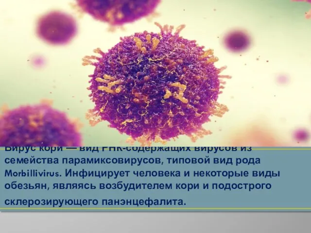 . Вирус кори — вид РНК-содержащих вирусов из семейства парамиксовирусов, типовой вид