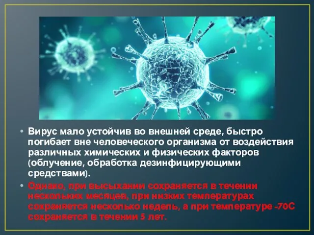 Вирус мало устойчив во внешней среде, быстро погибает вне человеческого организма от