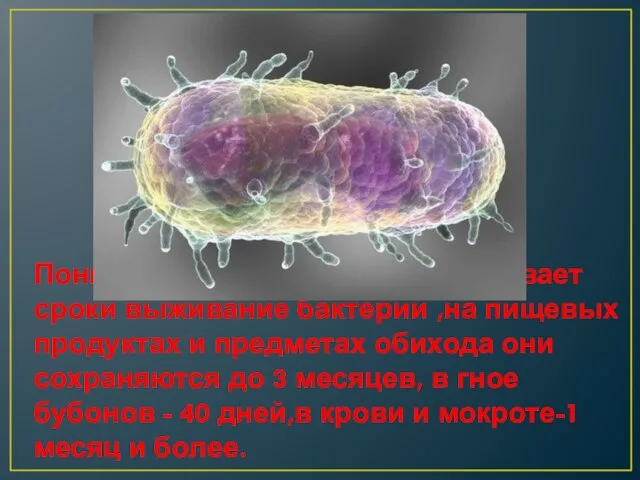 Понижение температуры увеличивает сроки выживание бактерии ,на пищевых продуктах и предметах обихода