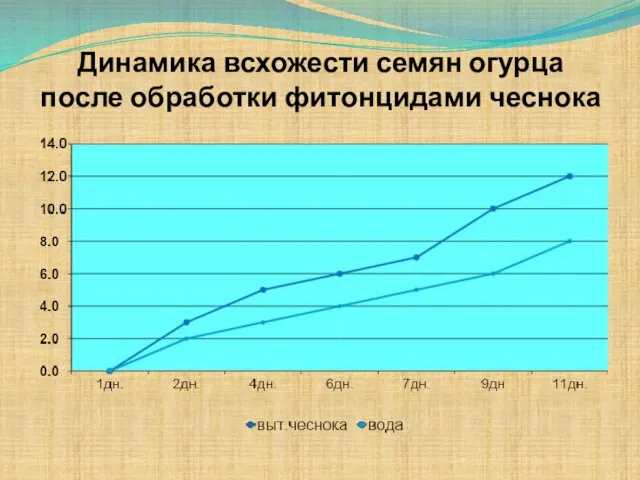 Динамика всхожести семян огурца после обработки фитонцидами чеснока