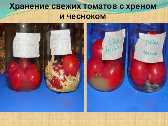 Хранение свежих томатов с хреном и чесноком