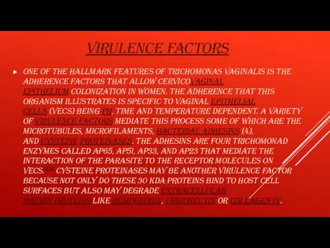 VIRULENCE FACTORS One of the hallmark features of Trichomonas vaginalis is the