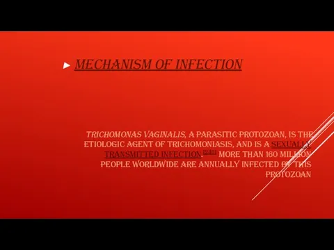 TRICHOMONAS VAGINALIS, A PARASITIC PROTOZOAN, IS THE ETIOLOGIC AGENT OF TRICHOMONIASIS, AND