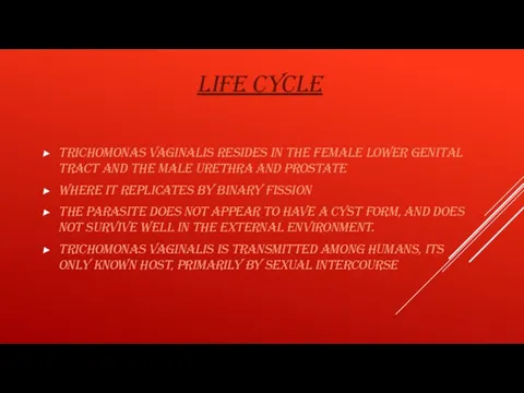 LIFE CYCLE Trichomonas vaginalis resides in the female lower genital tract and