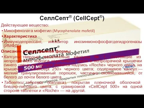 СеллСепт® (CellCept®) Действующее вещество: Микофенолата мофетил (Mycophenolate mofetil) Характеристика Иммунодепрессант, ингибитор инозинмонофосфатдегидрогеназы