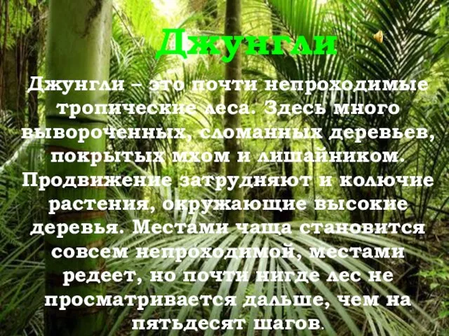 Джунгли Джунгли – это почти непроходимые тропические леса. Здесь много вывороченных, сломанных