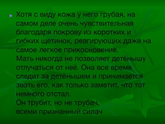 Хотя с виду кожа у него грубая, на самом деле очень чувствительная