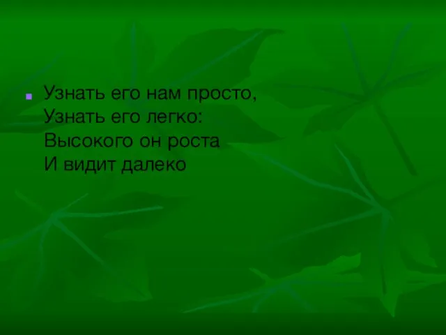 Узнать его нам просто, Узнать его легко: Высокого он роста И видит далеко