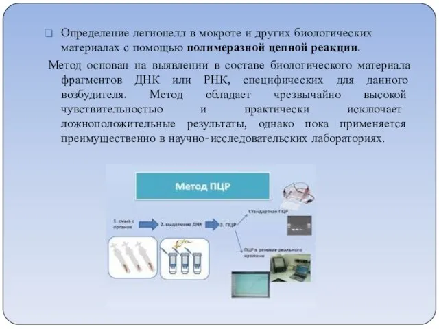 Определение легионелл в мокроте и других биологических материалах с помощью полимеразной цепной